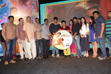 Hrudaya Kaleyam Audio Launch